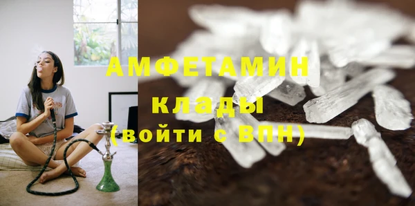 прущие грибы Майский