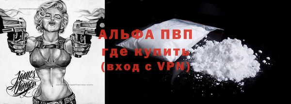 прущие грибы Майский