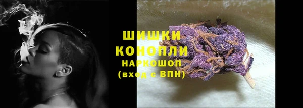 прущие грибы Майский