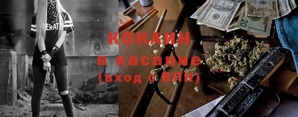 прущие грибы Майский