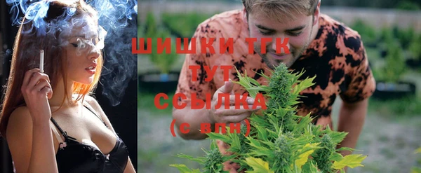 прущие грибы Майский