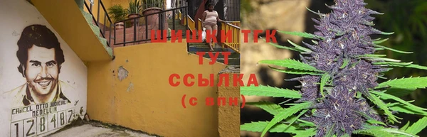 прущие грибы Майский