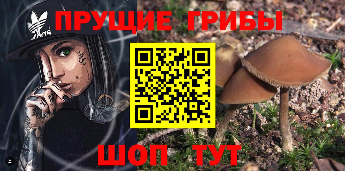 Псилоцибиновые грибы прущие грибы Серпухов