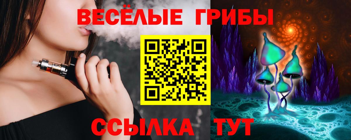 Псилоцибиновые грибы Psilocybine cubensis Серпухов